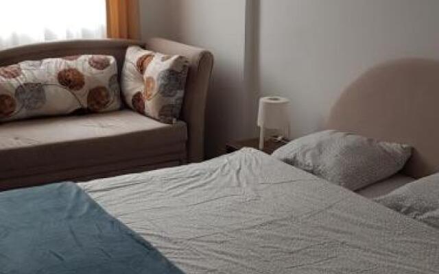Dobricin konak, Apartman 202