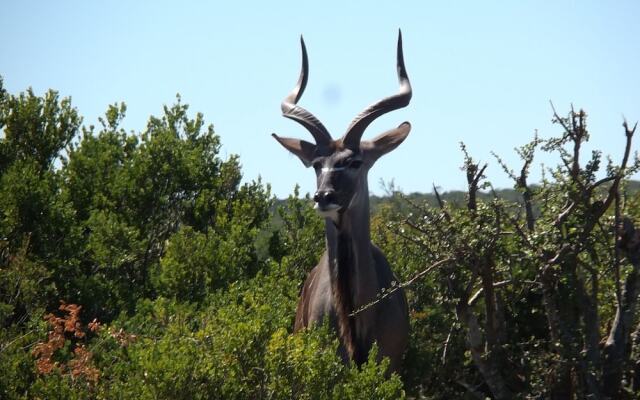 Valley Bushveld Country Lodge