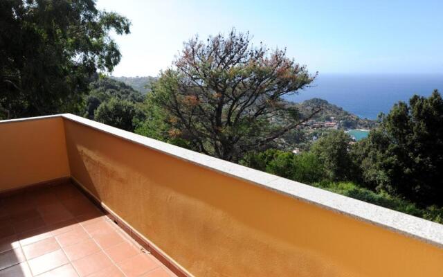 Il Campo Al Castagno