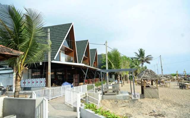 Palm Tree Heritage