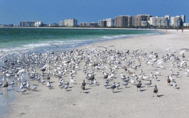 LUX VILLAs on beautiful Palmer Ranch