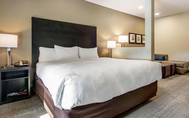 Comfort Suites Wooster near University Campus