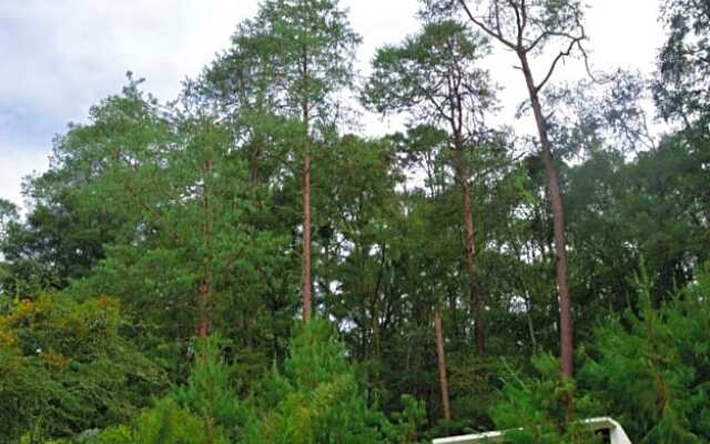 Romanticas Cabañas En Bosque