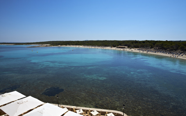 Universal Hotel Marqués