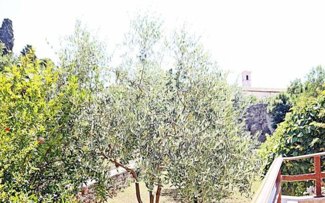Apartment Ondina 259