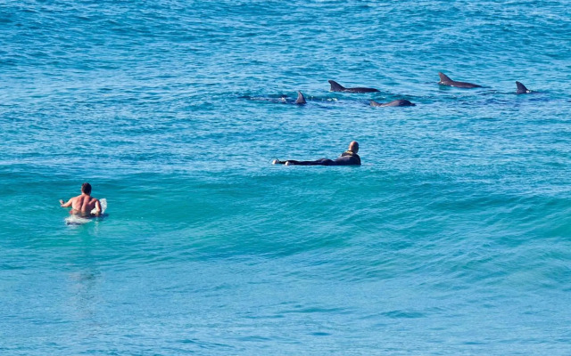 Aquarius Apartment 9