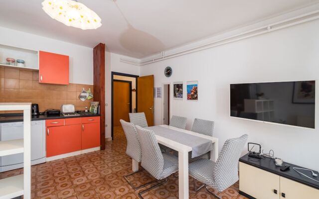 Cozy Apartment Branka With Nice Garden 6