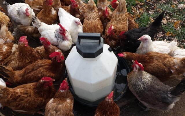 Chalet Bed and Breakfast, Niagara-on-the-Lake