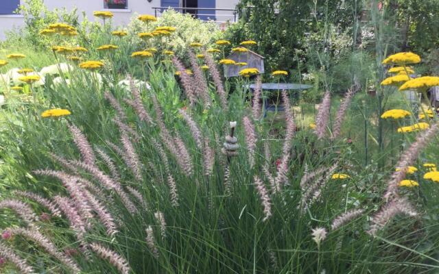 Chambres d'Hotes au Pays de Valencay en Berry
