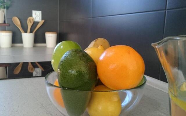 Domki wakacyjne 4 YOU