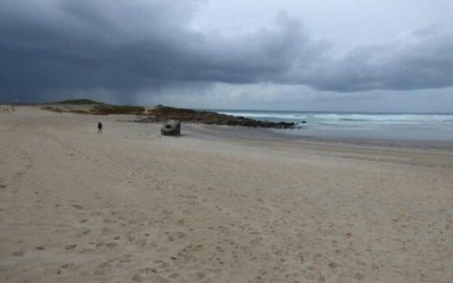 Soufflee Dans Le Vent