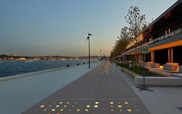 The Business Class Suit