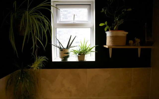 Inviting & Secluded 1BD House w/ Patio - Peckham!