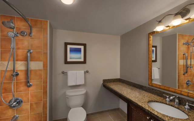 Marriott's SurfWatch