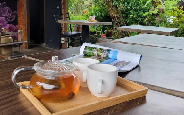 Taiwan Reishi Expert Bed and Breakfast