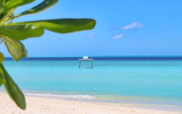 Gurus Maldives at Gulhi Island