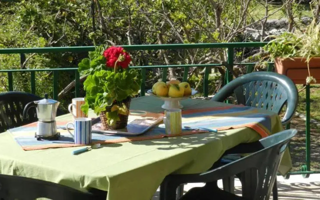 Tenuta di Santa Catrini