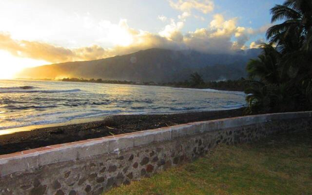 Tahiti Surf Beach Paradise