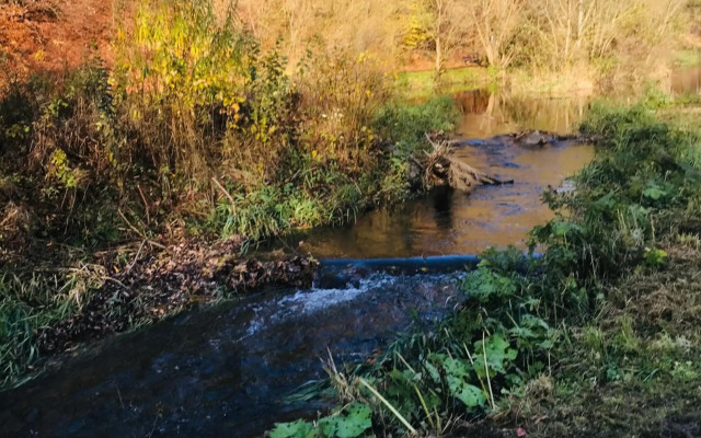 Ferienwohnung Losenberg
