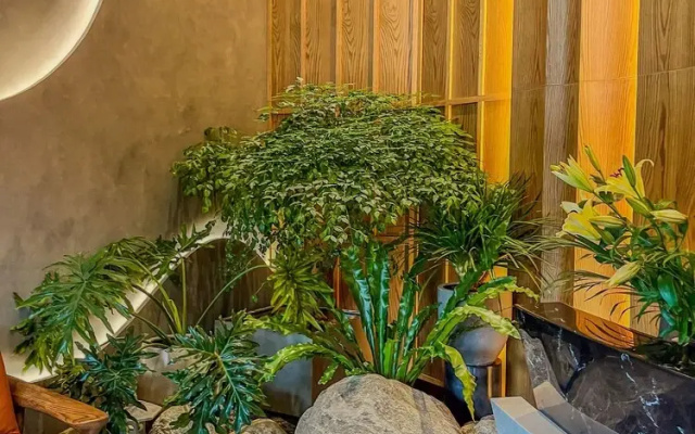Onsen Landmark Luxury Apartments