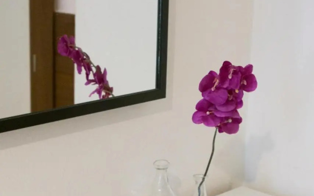 Spacious apartment near Wenceslas Square