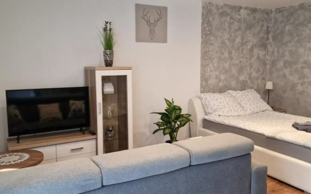 Apartament-Studio Polana Szaflarska