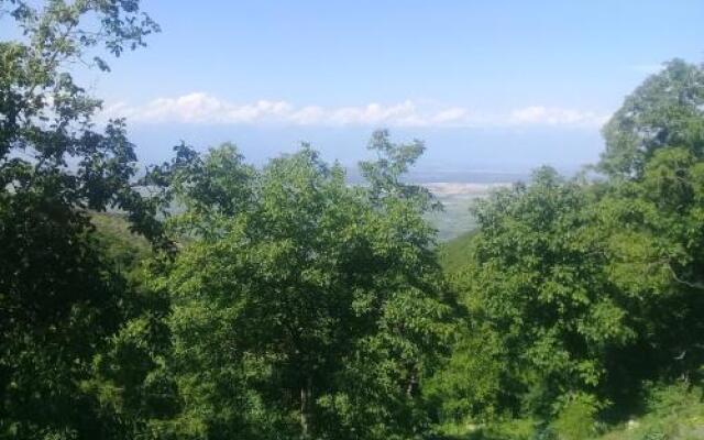Guest House Pano