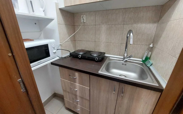 Vasile Apartment studio