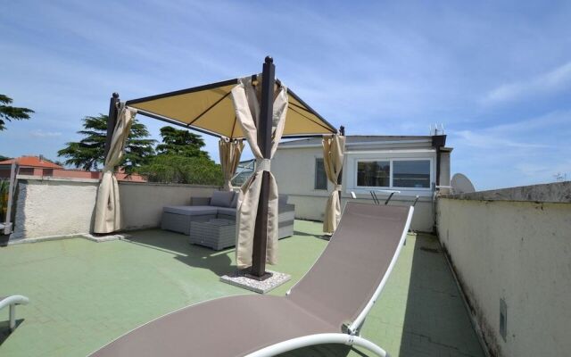 Penthouse & Eagle Eye Attic Combo