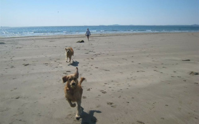 Modern Holiday Home in Tenby With Patio