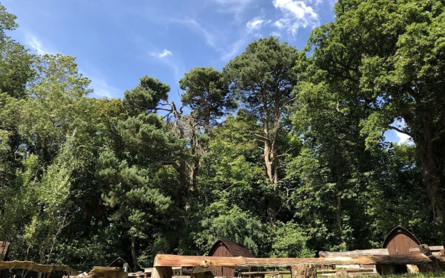 Edinburgh Cabin Camping