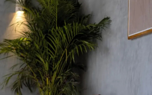 Otonomus Tulum