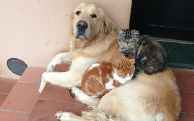 Fattoria Orsa Maggiore