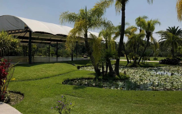 Huayacán Cuernavaca Curamoria Collection