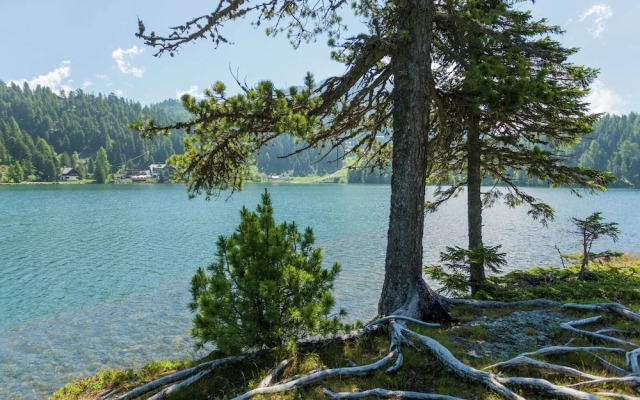 Quiet Chalet in Turracherhöhe with Sauna & Indoor Hot Tub