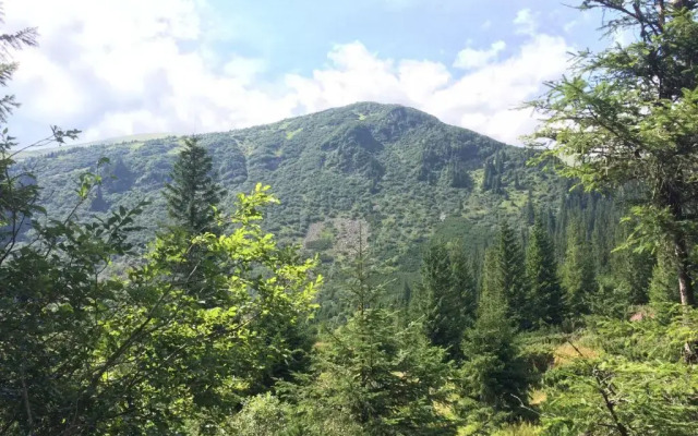 Villa PidStromom