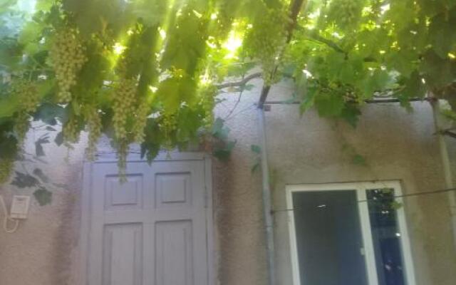Guest House Gikacha