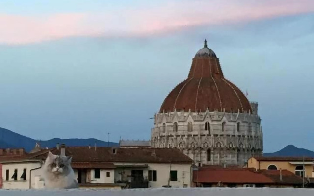 Alla Torre Con Vista