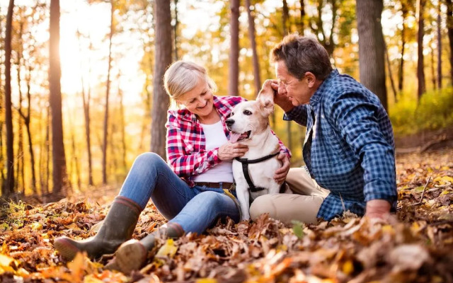 Hotel Karoli Waldkirchen