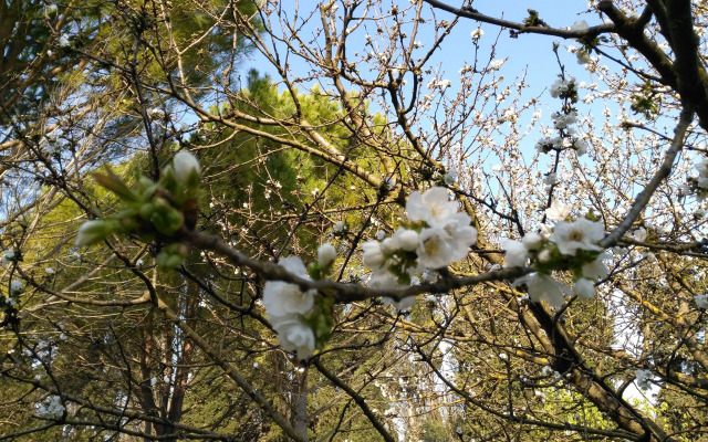 Le rêve D'Emma Chambres D'hôtes