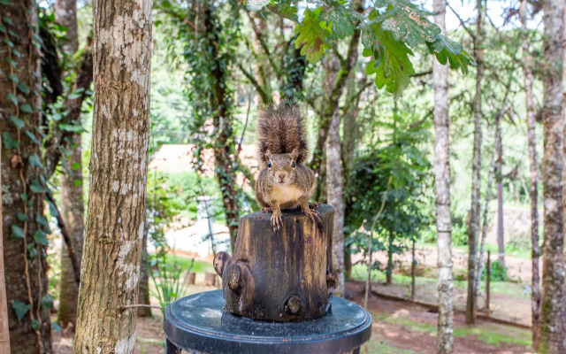 Pousada Vila Suíça