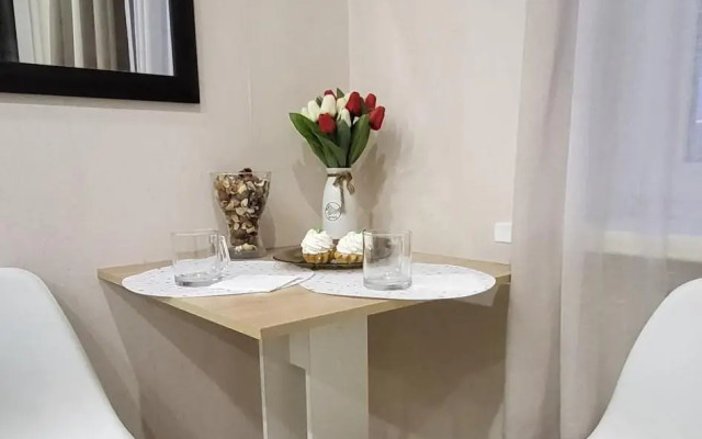 Апартаменты Факультет Гостеприимства на улице Селезнева 4\15