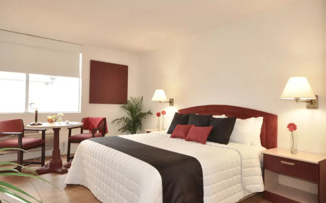 Mision Express McAllen