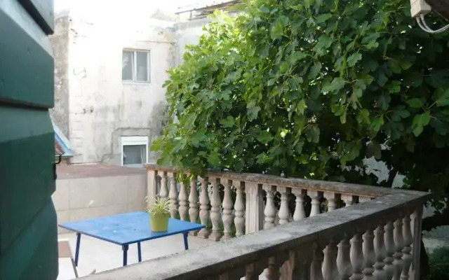 The Wild Fig Hostel