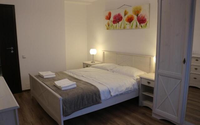 Timisoara City Apartments