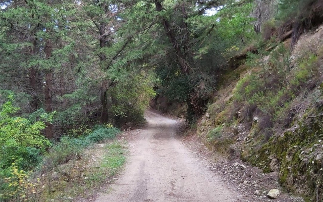 Traditional house in Asfendiou