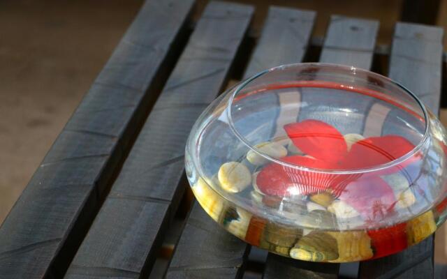 Posada del Cortes Hotel