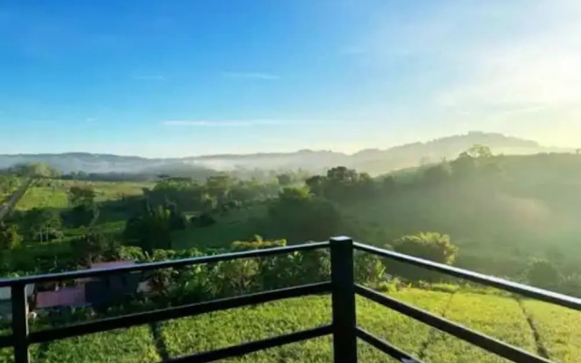 Yellowstone Cheewa View