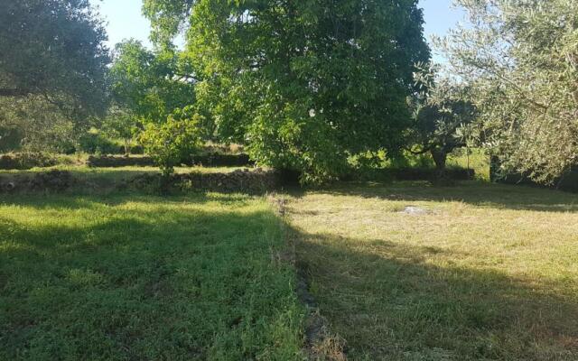 Barondi Holiday House