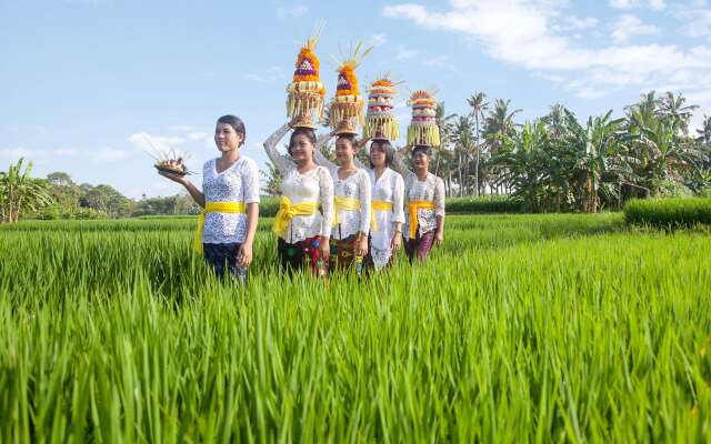 Wyndham Tamansari Jivva Resort Bali